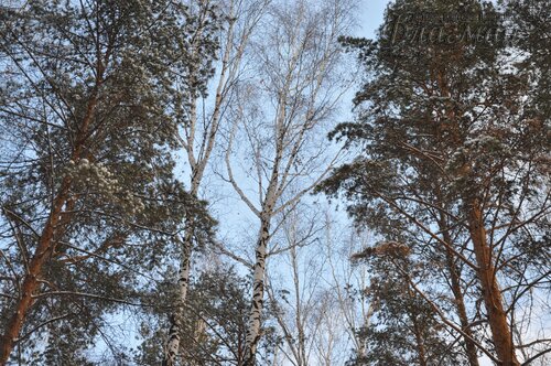 DSC_1580_r